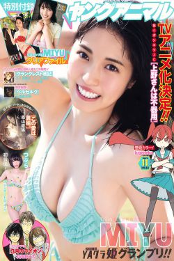 飛天大盜第八季