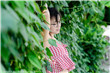 欺詐與嫉妒