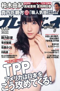 從結(jié)婚開始戀愛 電視劇