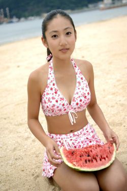 楊家將外傳2.0隱藏
